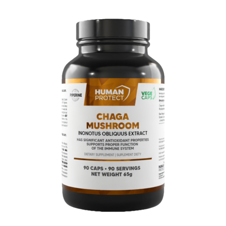 Chaga Mushroom 600mg 90caps.