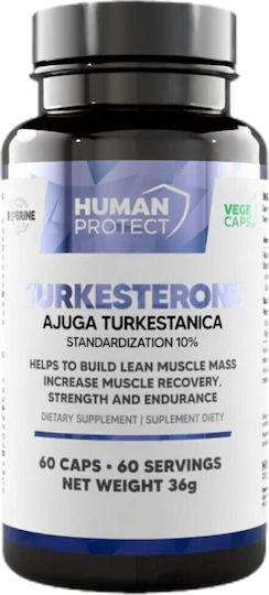 Human Protect Turkesterone 500 Mg